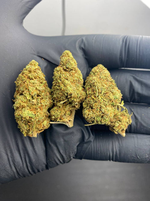 Flor T9HC Cali G - löglegt kannabínóíð af næstu kynslóð