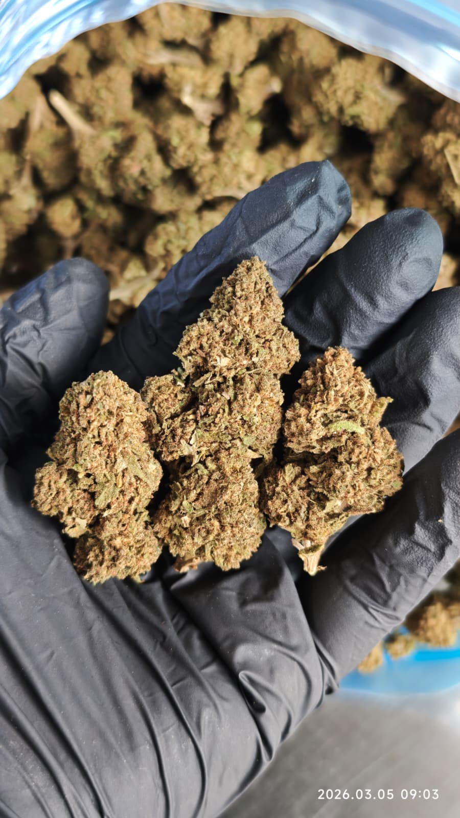 Flor T9HC Tangi Tonic - löglegt kannabínóíð af næstu kynslóð