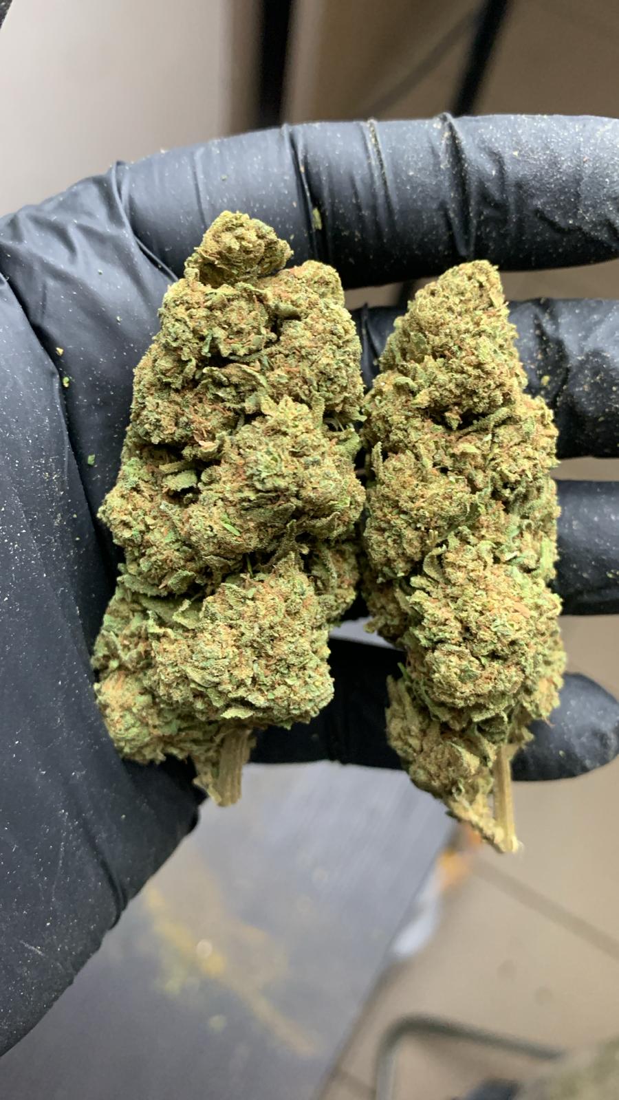 Flor T9HC Cheesecake F - löglegt kannabínóíð af næstu kynslóð