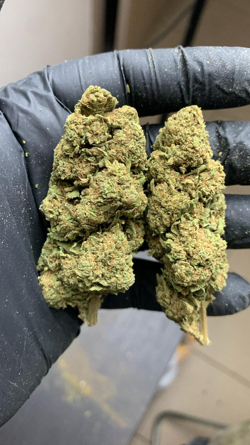 Flor T9HC Cheesecake F - löglegt kannabínóíð af næstu kynslóð